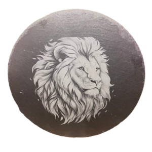 img 8028 removebg preview