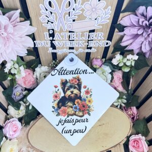 Panneau voiture chien à bord avec ventouse.