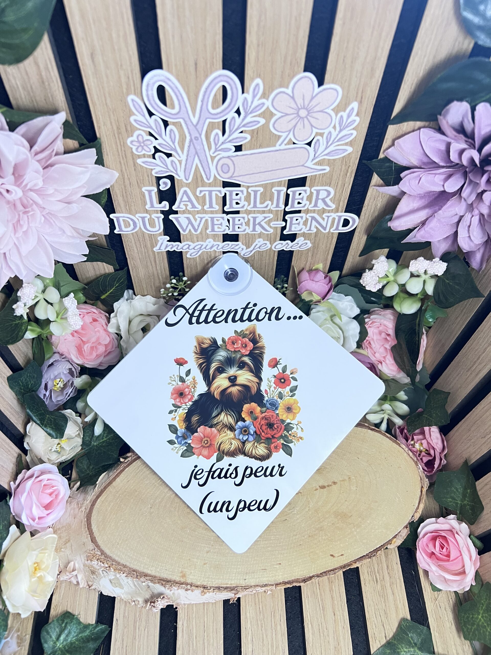 Panneau voiture chien à bord avec ventouse.