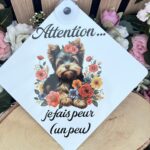 Attention… je fais peur (un peu)