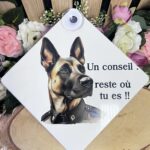 Un conseil reste où tu es