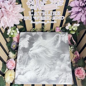 Carrelage Chat 20x20 cm – Décoration Murale ou Dessous de Plat